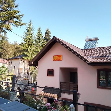 Casa Nicolas Buşteni 外观 照片