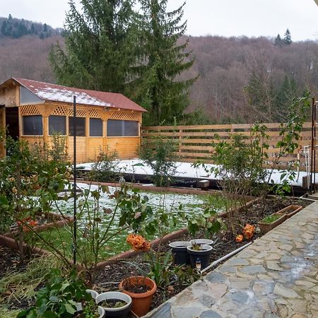 Casa Nicolas Buşteni 外观 照片