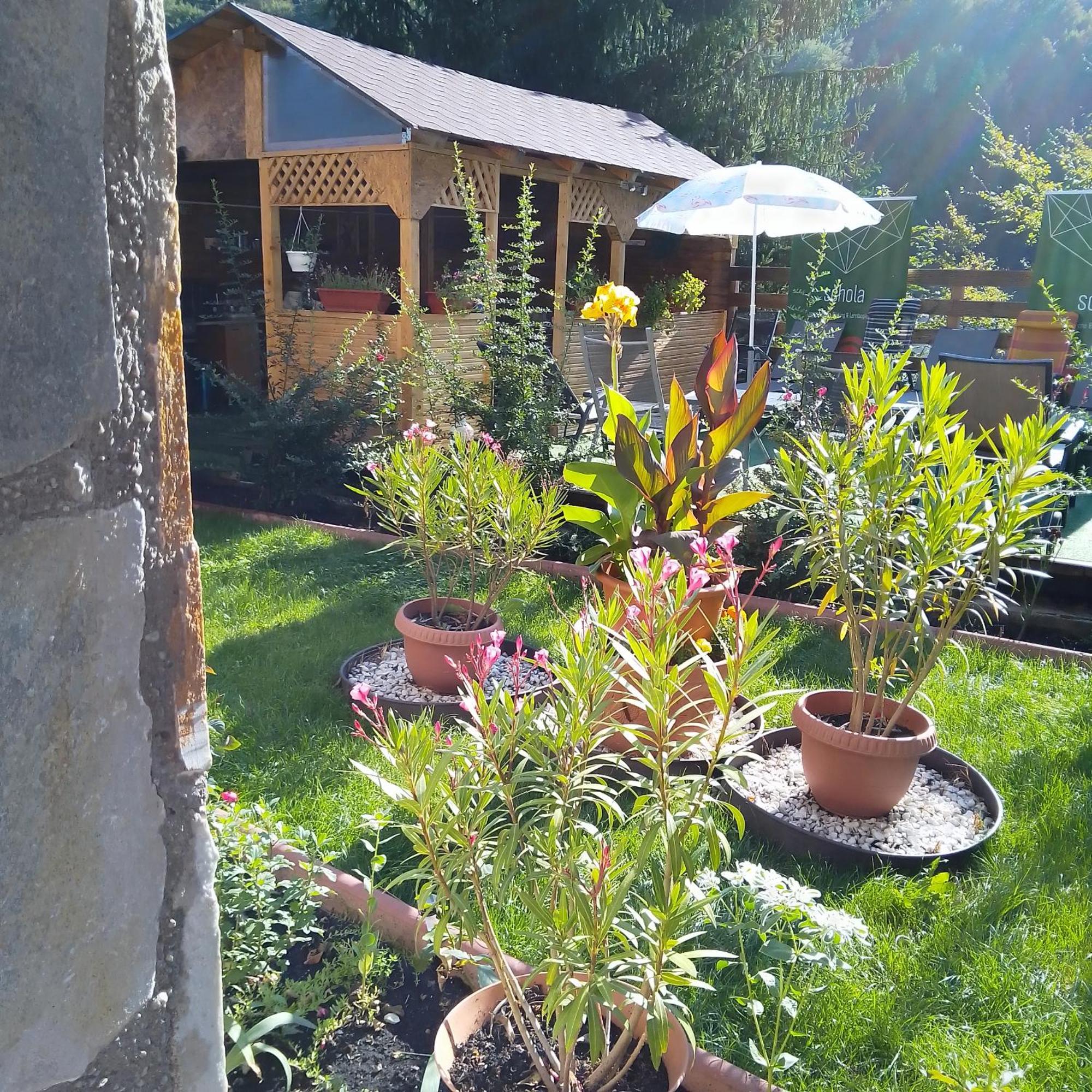 Casa Nicolas Buşteni 外观 照片