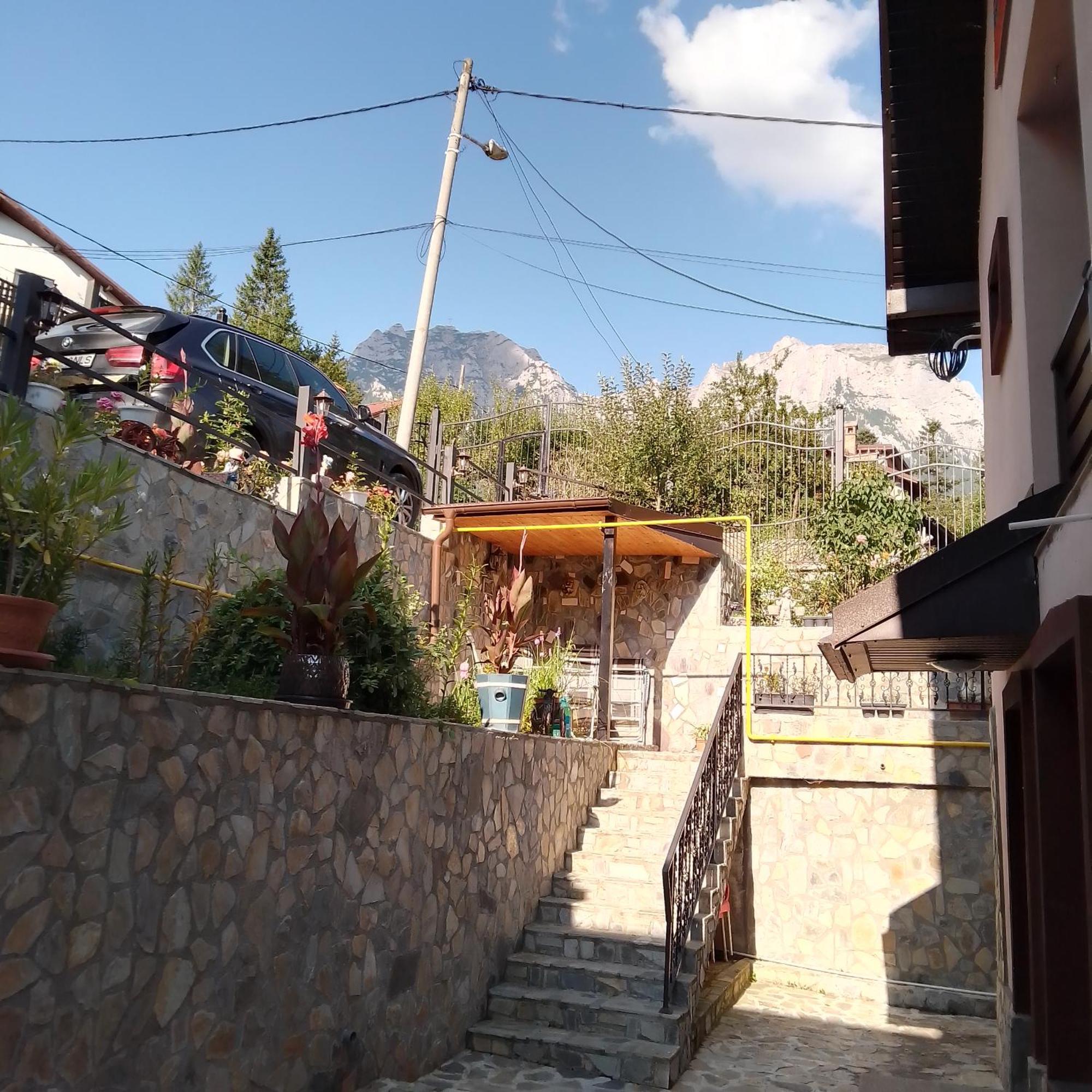 Casa Nicolas Buşteni 外观 照片